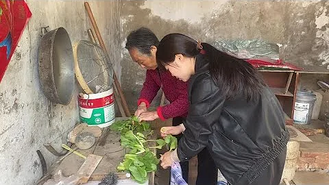 河南小姑娘農村蹭飯 老人好酒好菜招待 一起吃飯畫面真融洽 - 天天要聞