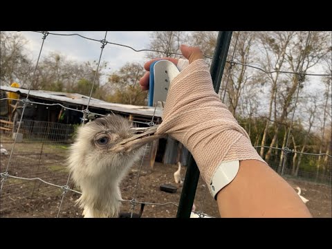 Kevin Broke my