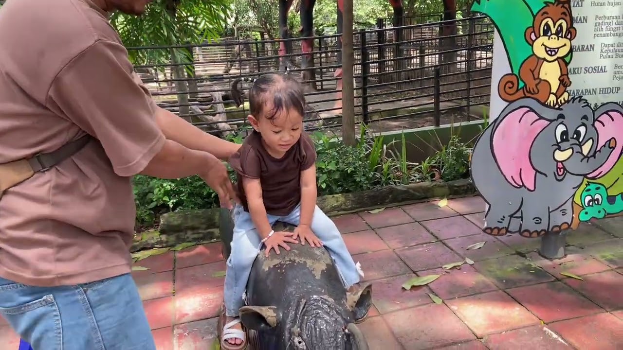 Jalan jalan ke KEBUN BINATANG SURABAYA Waktu Imlek 