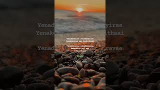 Enadhuyire Enadhuyire Song Lyrics Magical Frames Whatsapp Status Tamil Tamil Lyrics Song