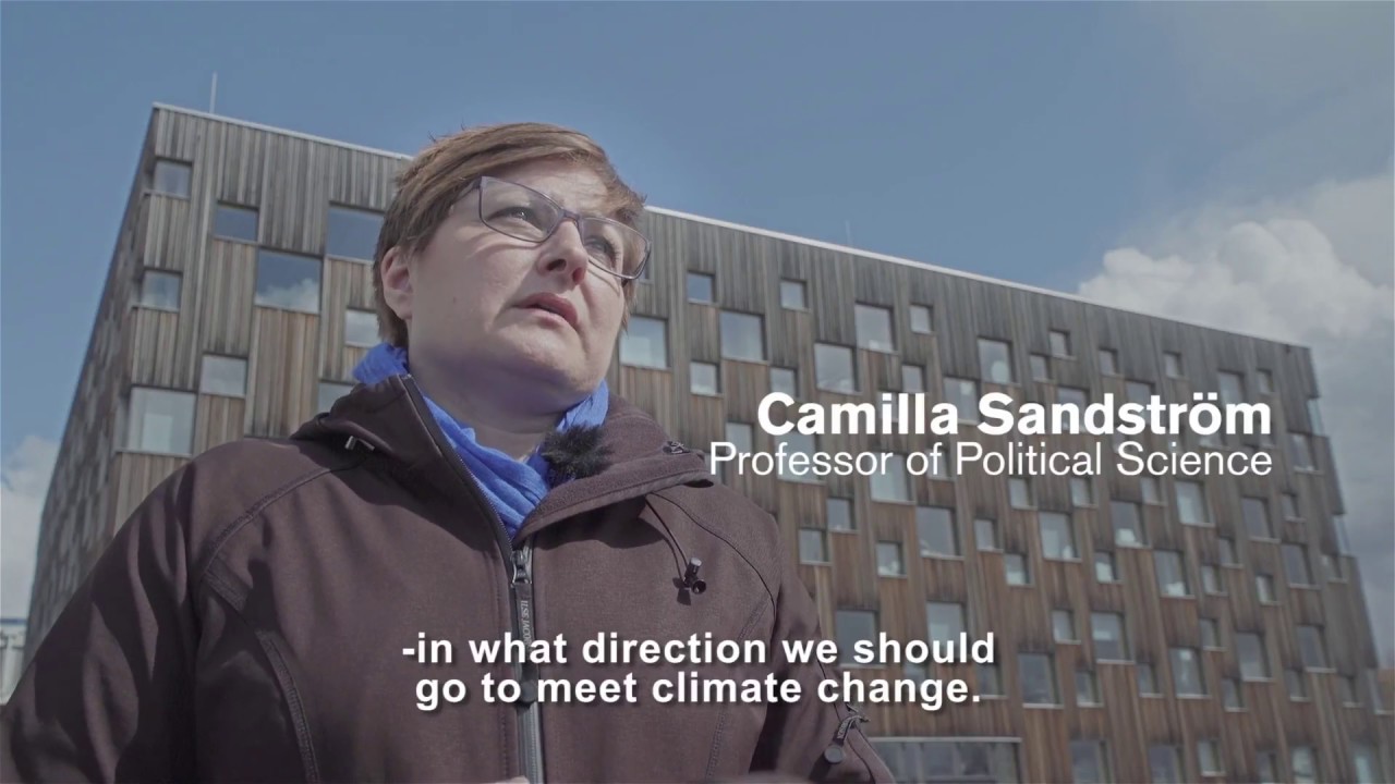 Ur filmen Skogens roll i det nya klimatet
