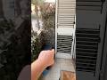VEDO una BARCA INSANGUINATA in MARE ALLE 3 DI NOTTE!😰 #shorts #horror #paura #ps5 #fortnite #short
