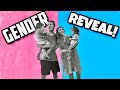 GENDER REVEAL *Gone wrong* | The Van Clan