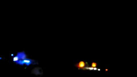 Sasha playing Zoo Brazil