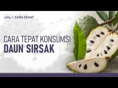 How to Properly Drink Soursop Leaf Tea for Cancer Patients | Hidup Sehat tvOne