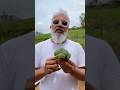 Is Broccoli a man-made or Natural?