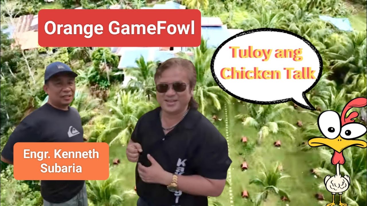 EP595 part 2: tuloy ang masayang chicken talk sa Orange GF with boss Engr. Kenneth Subaria
