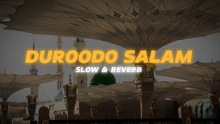 Durood o Salam || Slow And Reverb || Halal Sound || #salam