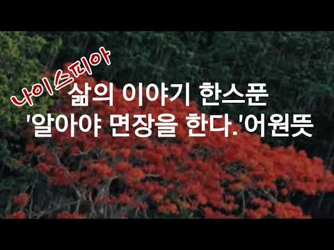 알아야 면장을 한다의 어원.뜻