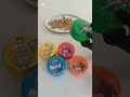 M&M’s Containers with Nuts ASMR 🥜✨ Satisfying Crunch Sounds