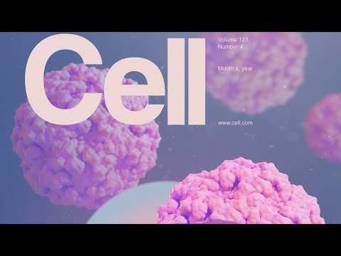 Chapter 6 - Part 1 - YouTube