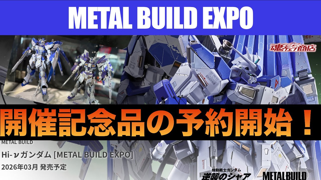 METAL BUILD EXPO commemorative item Hi-ν Gundam reservation