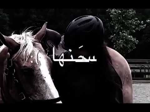 فرس فرس من حسنها الحسن انخرس غغديررر