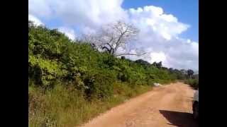 2 Acre Plot Of Land For Sale In Ramisi Kinondo On 2Nd Row, 100M To The Beach