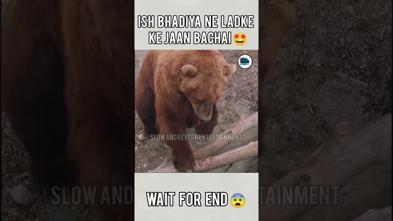 Bhediye Ne Bhalu Se Ladkar Bachai Ladke Ki Jaan 😱🐺 | Movie Explained in Hindi
