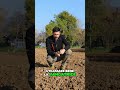 Come Lavorare la Terra con la #Vangatrice #mattthefarmer #orto