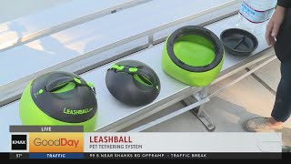 Leashball pet tethering system