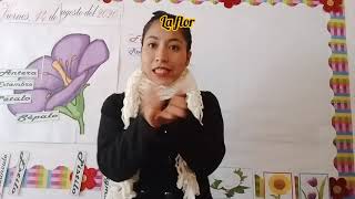 Clase virtual: La flor