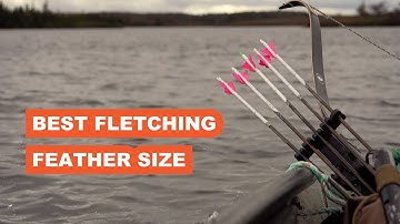 What is the Best Size Arrow Feather?