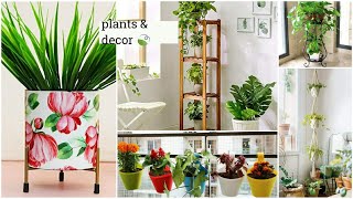 Amazon Beautiful Flower Pots/ Stand For Home decor & Gardening | Indoor Plant Stands 🌿