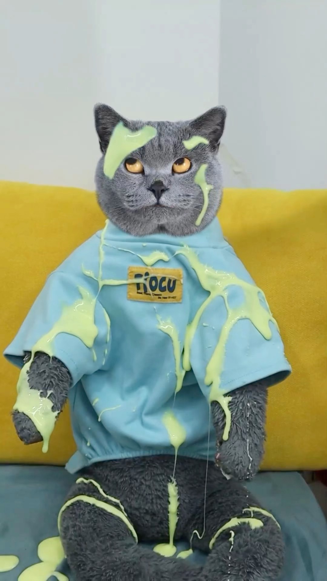 Easily Clear Your Stuffy Nose with the Magic Magnet!??️ #funnycat #catmemes #trending