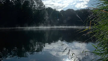 Amsterdamse Bos 050825