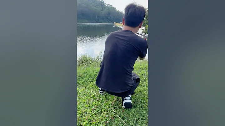 How do you think this slingshot is?