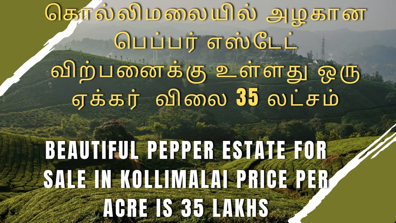 Beautiful Pepper estate for sale in Kollimalai Price 35 lakh per acre