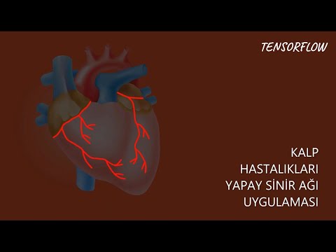 Video: Python'da sinir ağı nasıl yapılır?