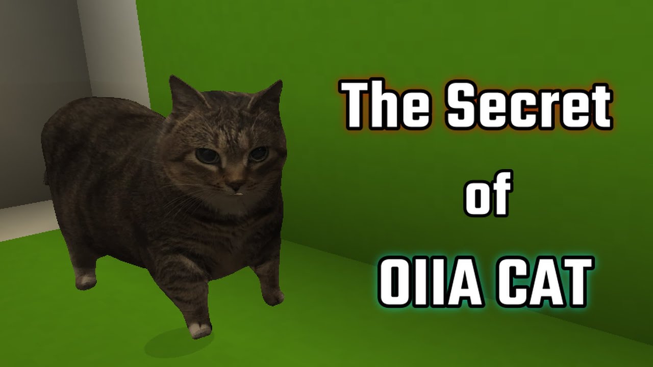 Oida Cat The Secret of OIIA CAT - YouTube