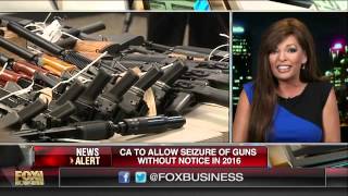 The gun cave shooting range owner jan morgan, political analyst rob
taub and democratic pollster strategist jessica tarlov weigh in on a
new law c...