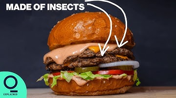 The Future of Food: Edible Insects