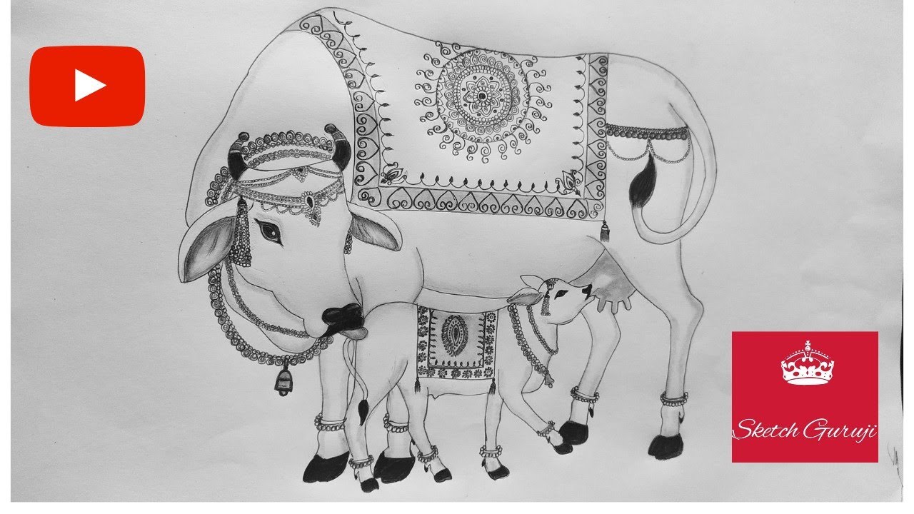 Cow video. how to draw pencil cow drawing #cowvideos #cow #cows ...