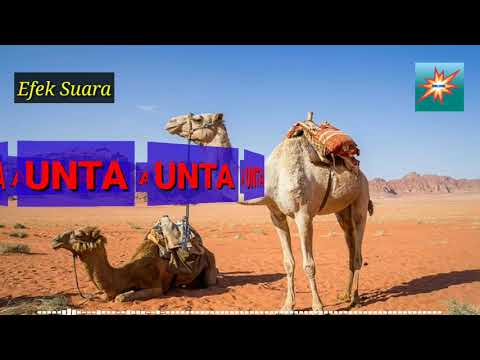 Suara UNTA / ONTA