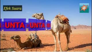 Suara UNTA / ONTA