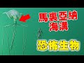 馬里亞納海溝最恐怖的23种生物,最後一种達到了200多米,科學家都無法想象!#科普 #世界之最 #阿菌看世界 #動物 #怪物