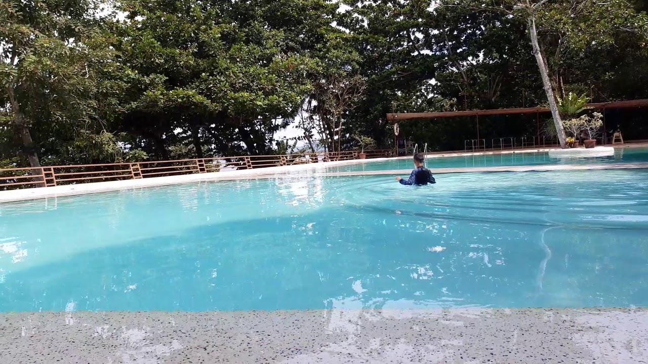 @almont beach resort