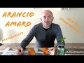 Arancio amaro portainnesto per agrumi pianta ornamentale tutorial