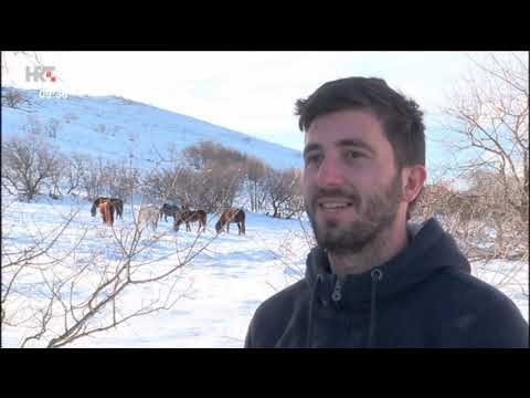 Video: Neka Spavajući Konji Leže [dolje]