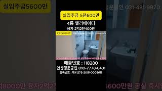 4룸빌라 남서향 엘리베이터 남서향 #안산빌라 #와동빌라 #shorts