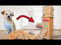 DIY Dog Treat Dispenser to Make at Home 🐶🏠