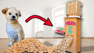 DIY Dog Treat Dispenser to Make at Home 🐶🏠