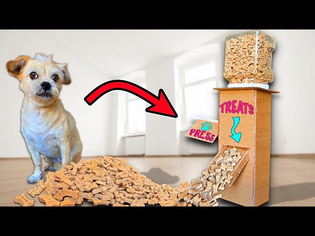 Homemade Dog Treat Toy Filling Recipe - {Not Quite} Susie Homemaker