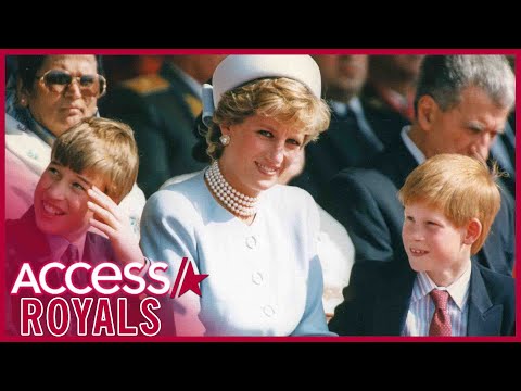 Princess Diana Said She Wanted To See Prince William & Prince Harry In Final Phone Call