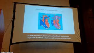 Novel insights into the Genetic Basis of Heart Defects in Jacobsen Syndrome with Dr. Paul Grossfeld