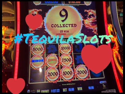 John Hunter and the Quest for Bermuda Riches | Foxy Bingo Review: Is Foxy Bingo Casino Legit Or A Scam? 🤔