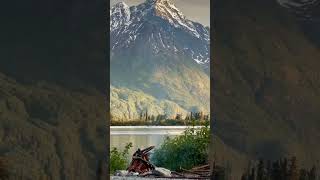 A perfect evening 🗻 in Alaska...💗