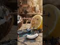 Coconut–Lemon Harbor — Workers operate a miniature harbor #animaldocumentary #cinematicstory