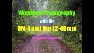 Woodland Photography with the OM-1 Camera and OM 12-40mm f/2.8 Mark II Lens