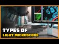 Types Of Light Microscopes And Their Unique Features